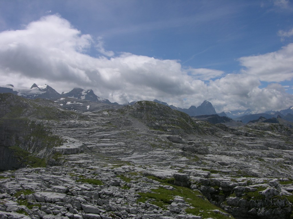 dscn0451.jpg