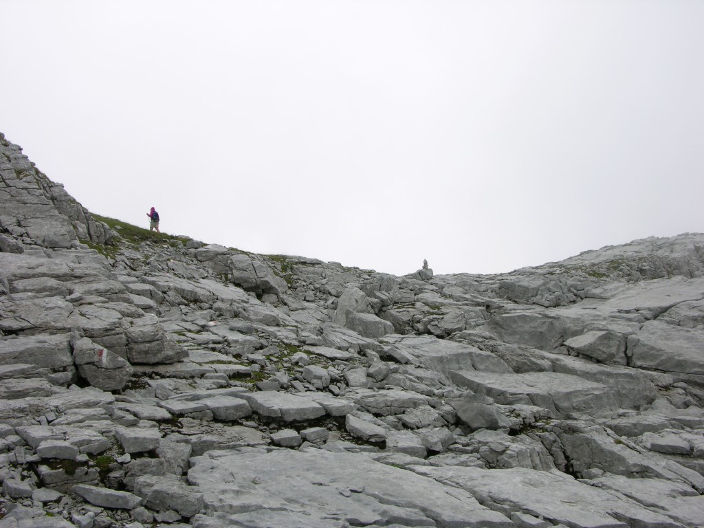 dscn0453.jpg