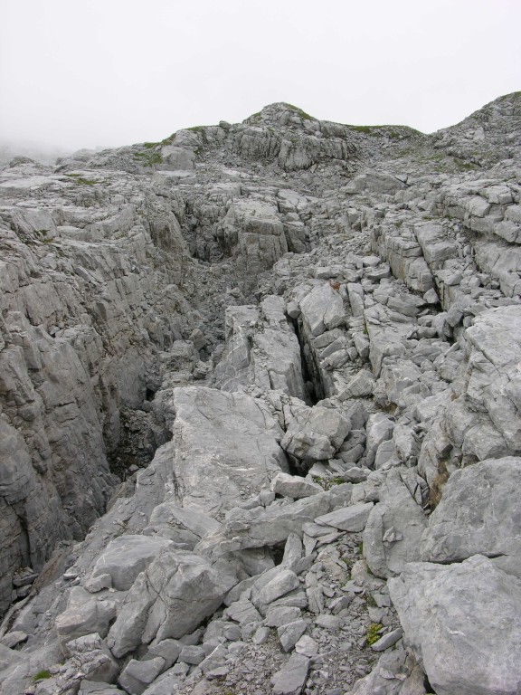 dscn0454.jpg