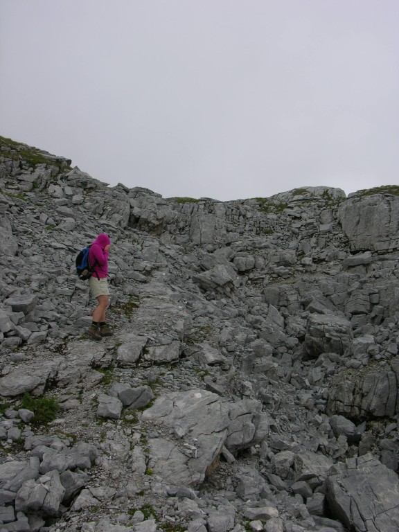 dscn0455.jpg