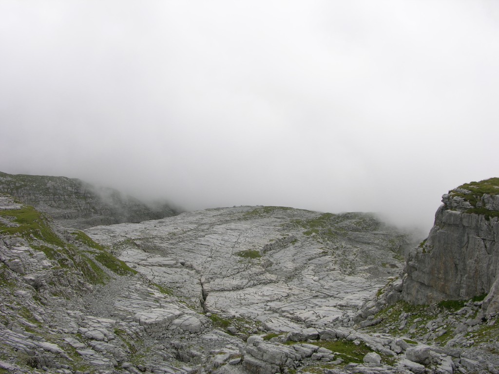 dscn0459.jpg