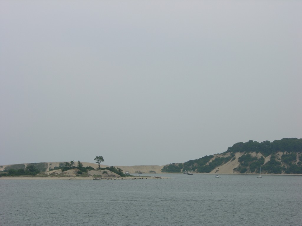 dscn0330.jpg