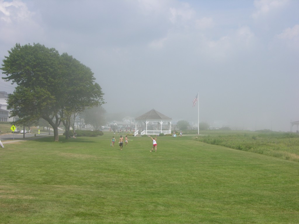 dscn0331.jpg