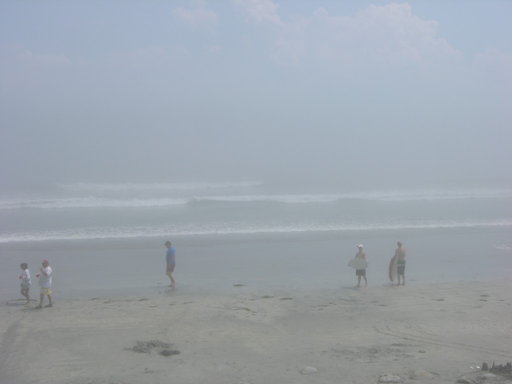 dscn0335.jpg