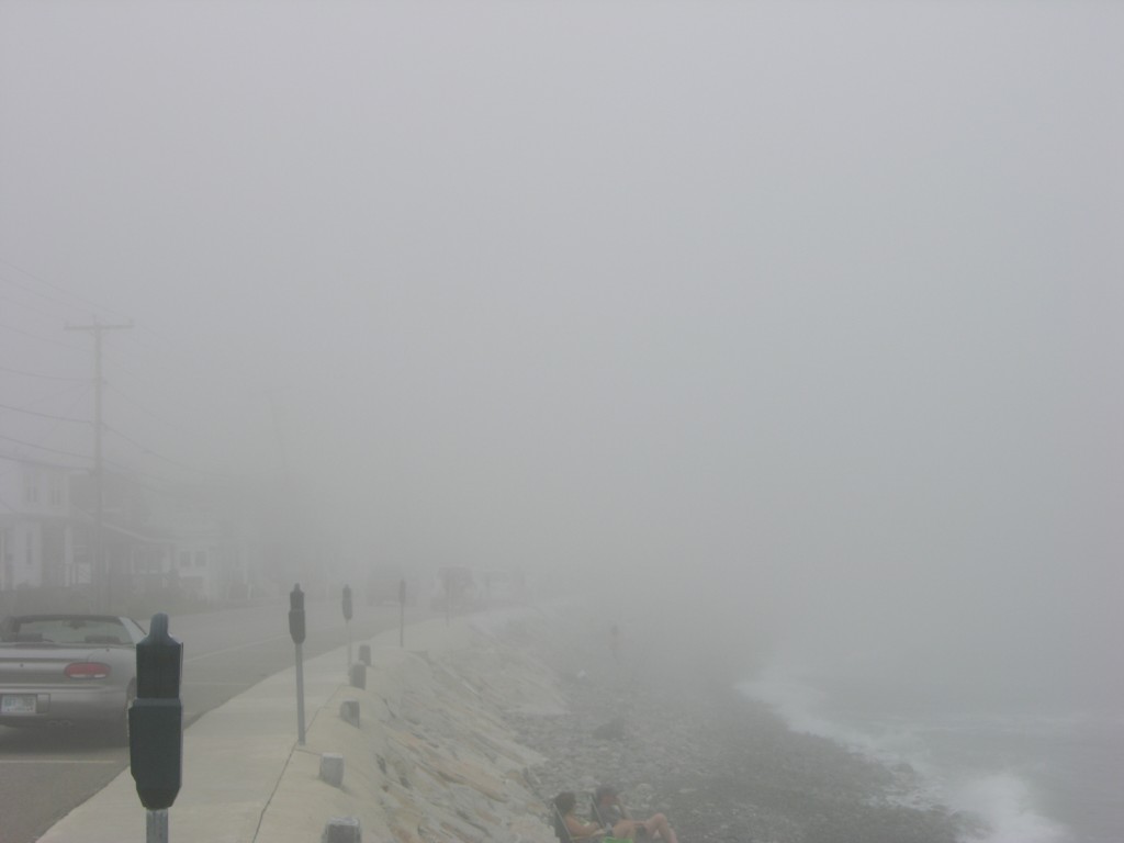 dscn0338.jpg