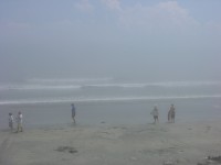 dscn0335.jpg
