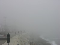 dscn0338.jpg