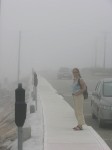 dscn0339.jpg