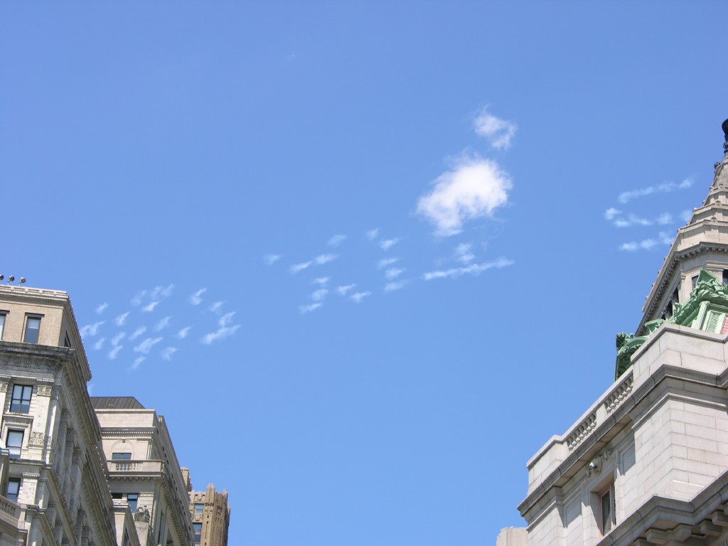 dscn0201.jpg