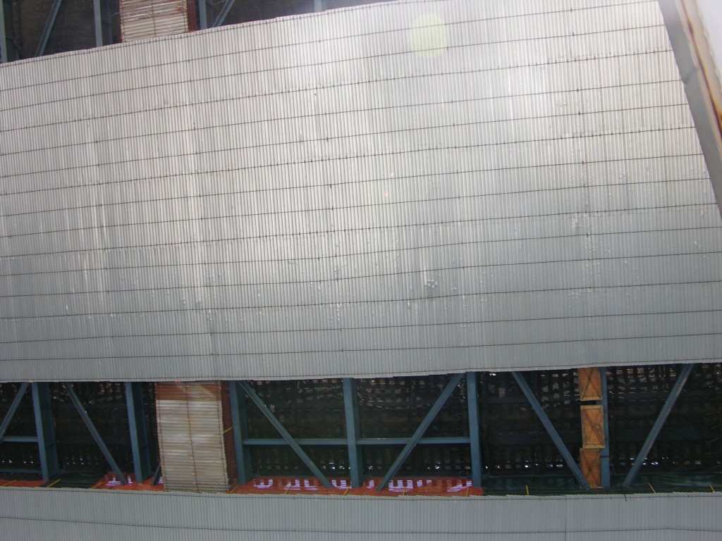 dscn0204.jpg