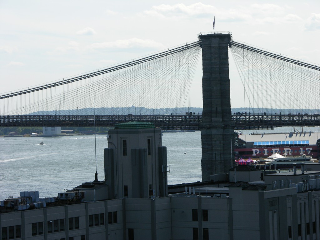 dscn0212.jpg