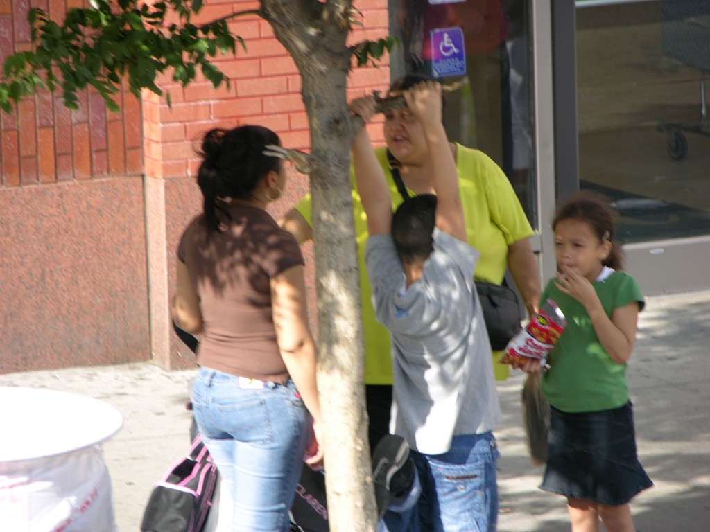 dscn0288.jpg