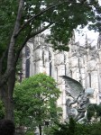dscn0275.jpg
