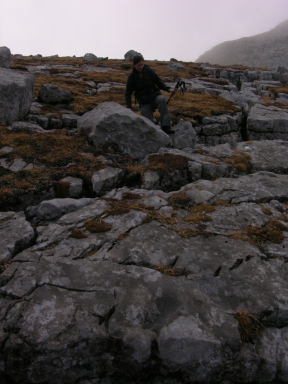 dscn0555.jpg