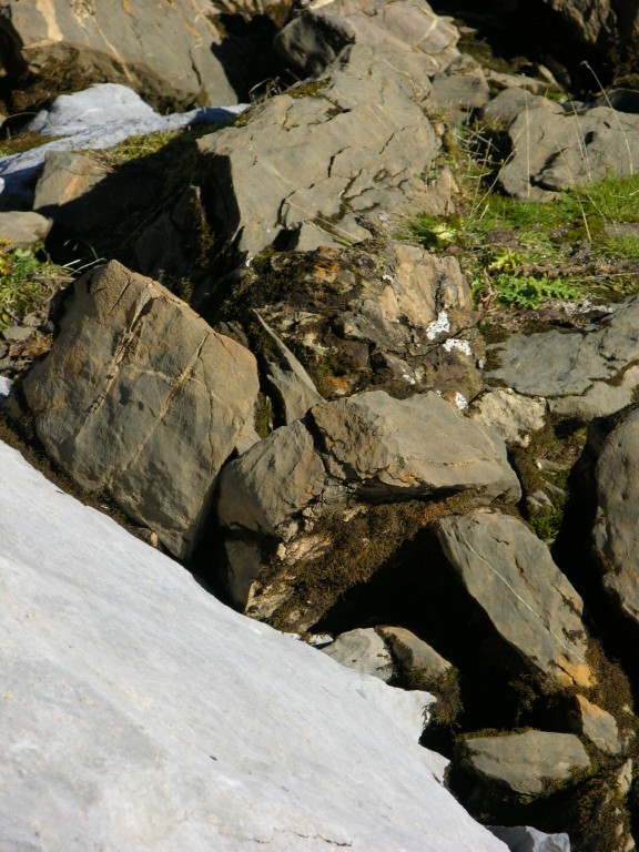 dscn0564.jpg