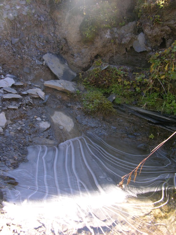 dscn0565.jpg