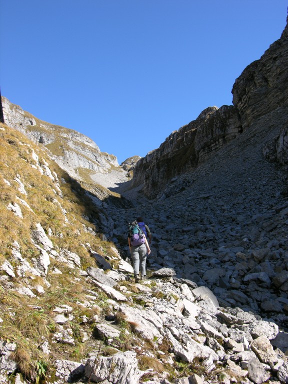 dscn0566.jpg