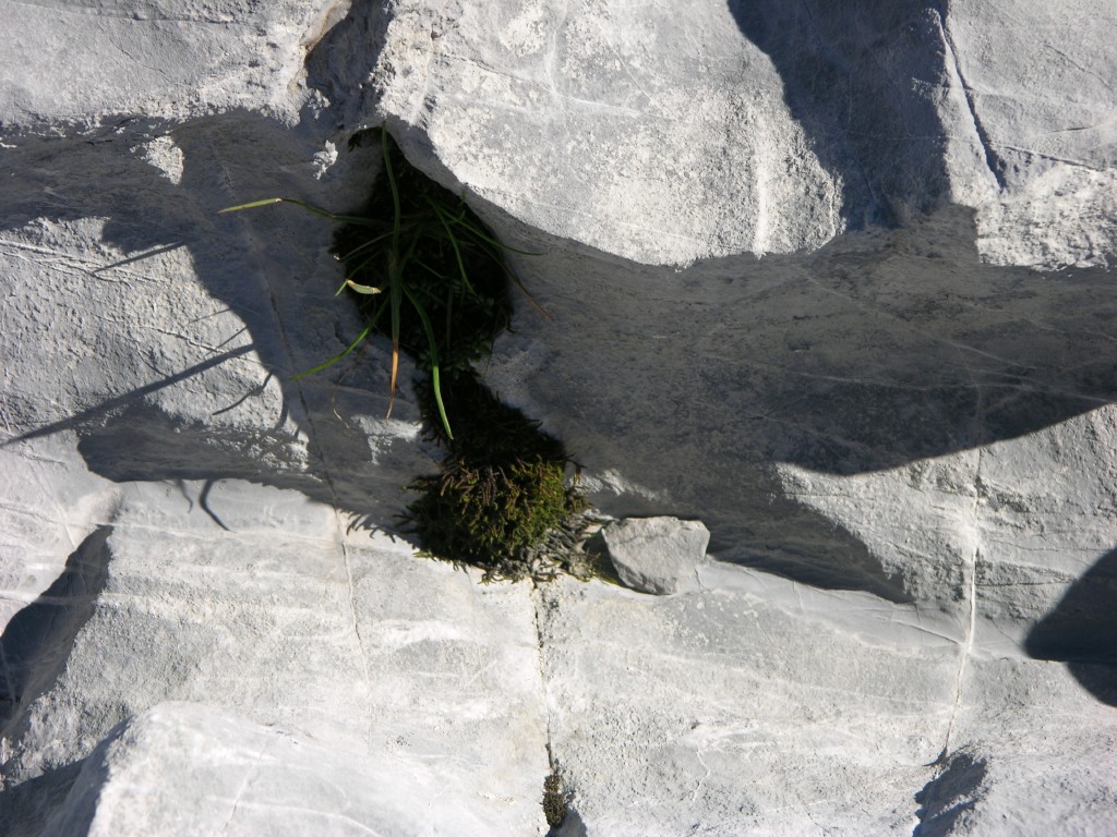 dscn0582.jpg
