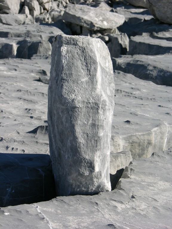 dscn0587.jpg