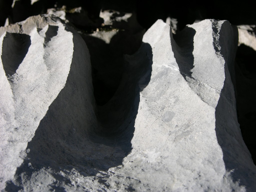 dscn0588.jpg