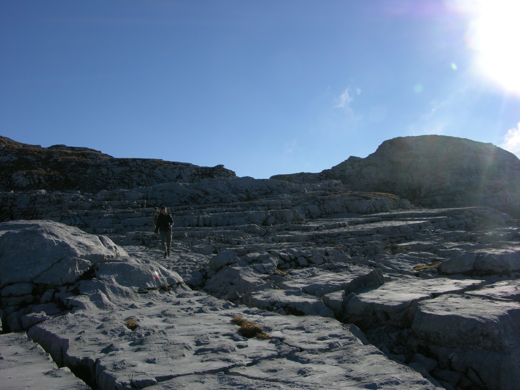 dscn0590.jpg