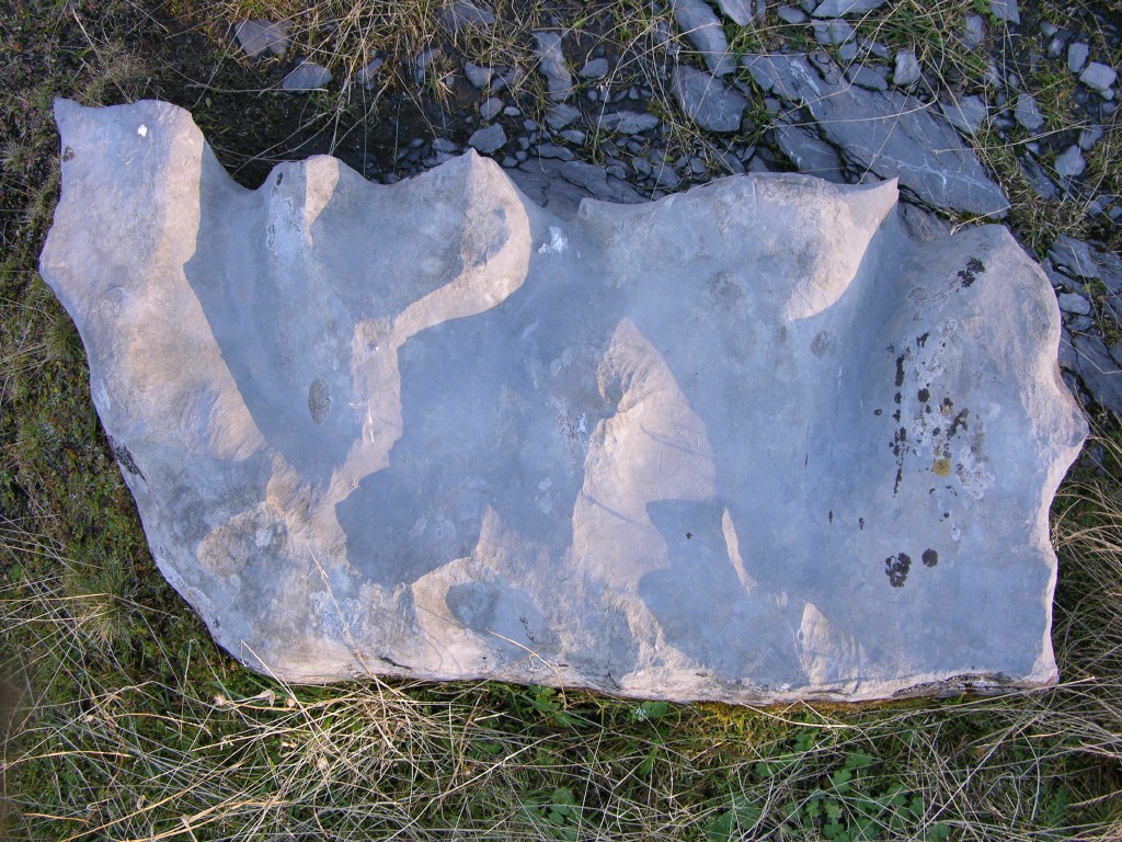 dscn0594.jpg