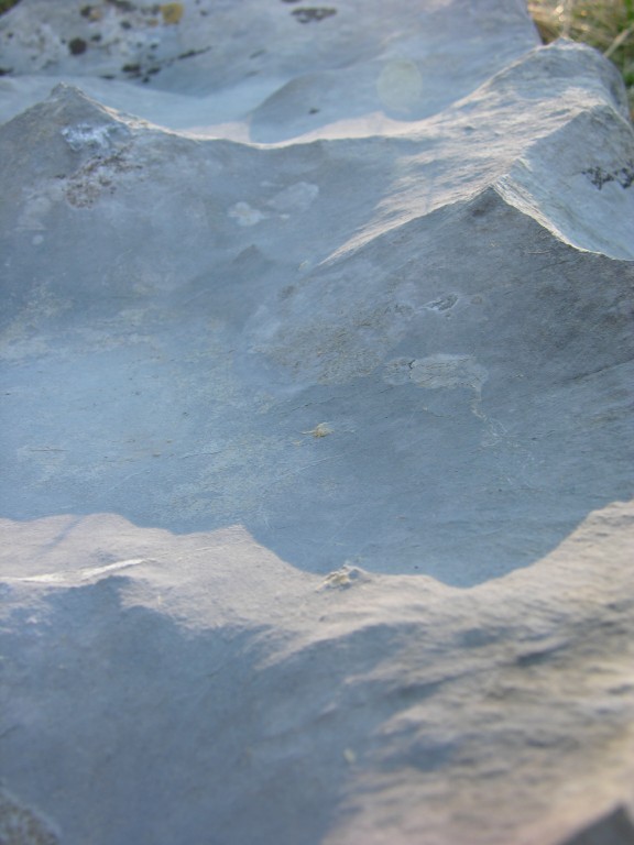dscn0595.jpg