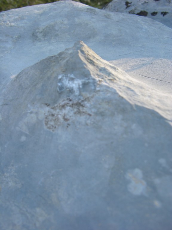dscn0597.jpg