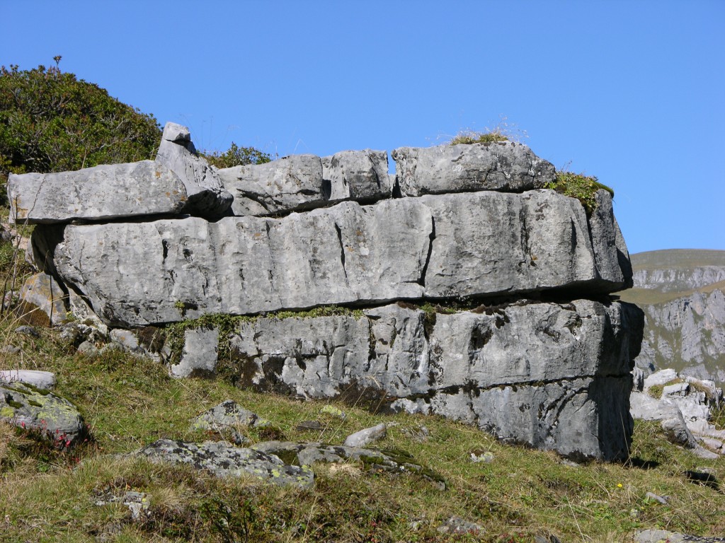 dscn0601.jpg
