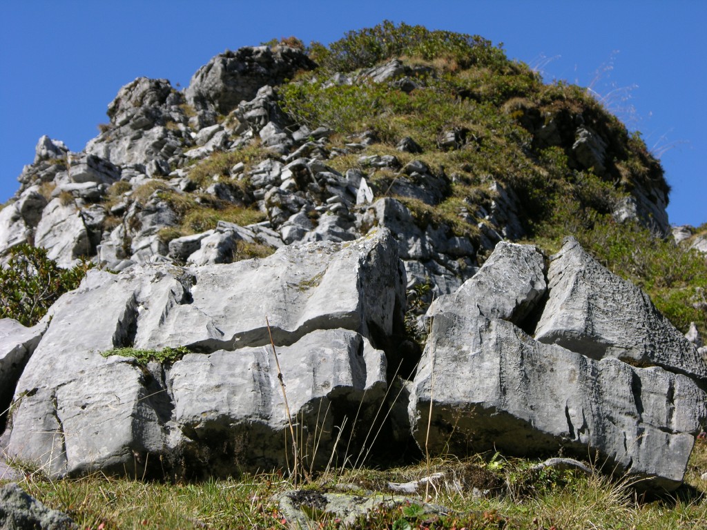 dscn0602.jpg