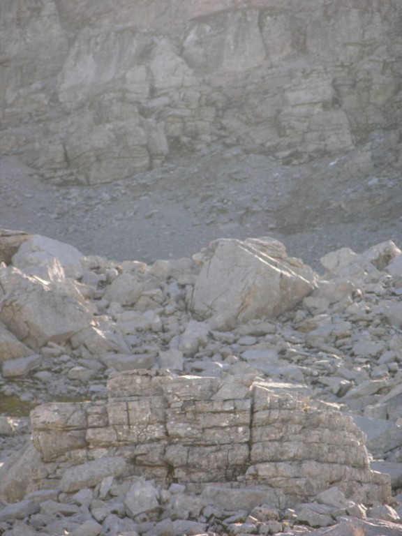 dscn0604.jpg