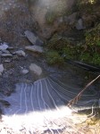 dscn0565.jpg