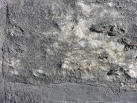 dscn0580.jpg