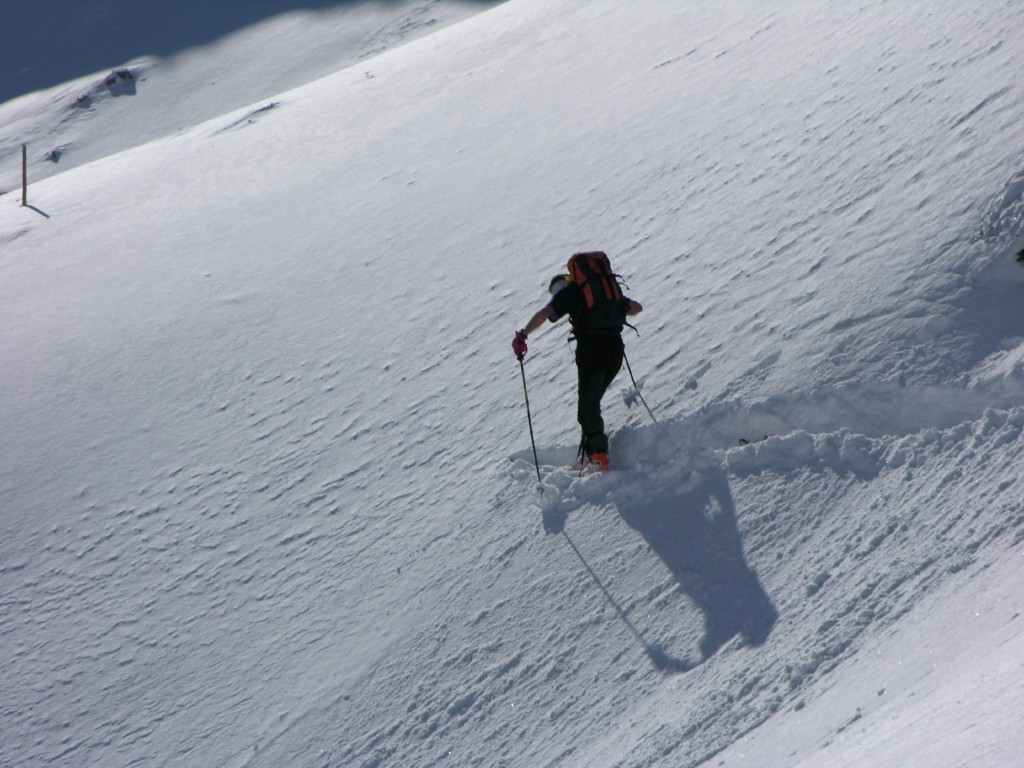dscn4201.jpg