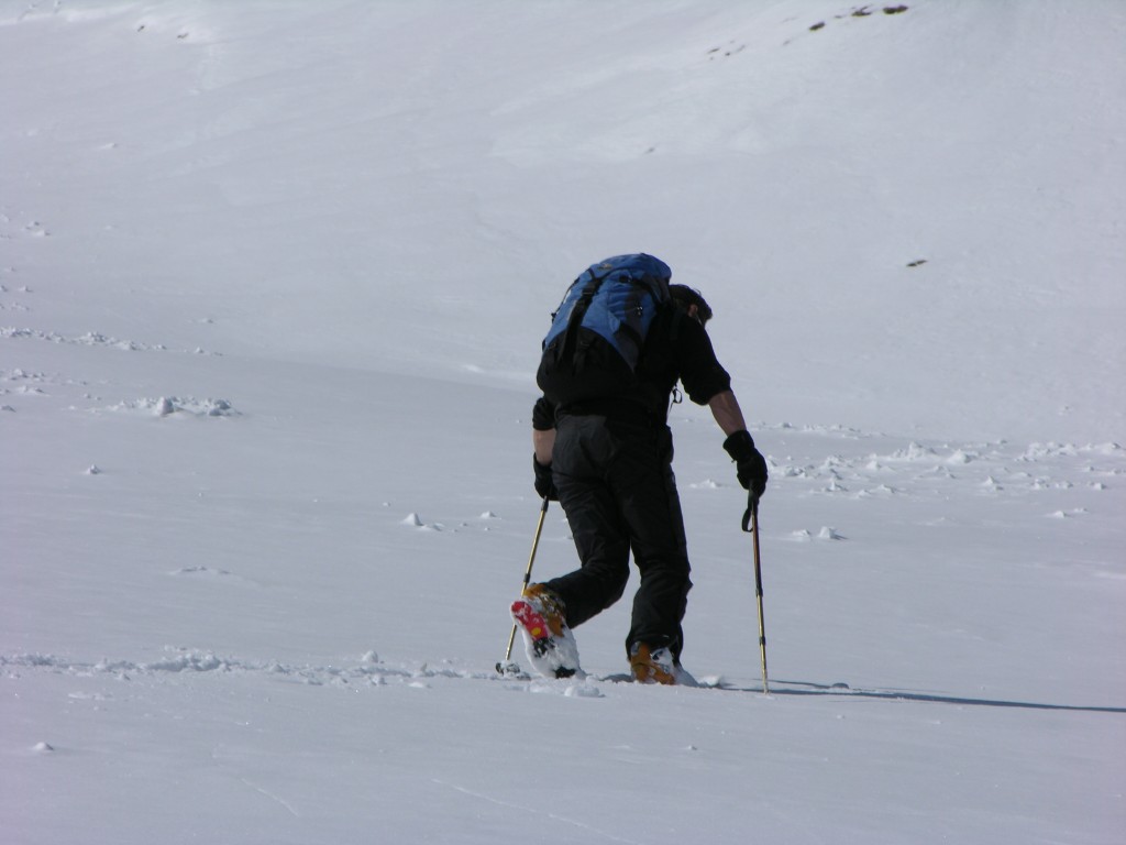 dscn4207.jpg