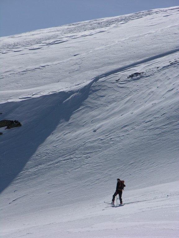 dscn4209.jpg