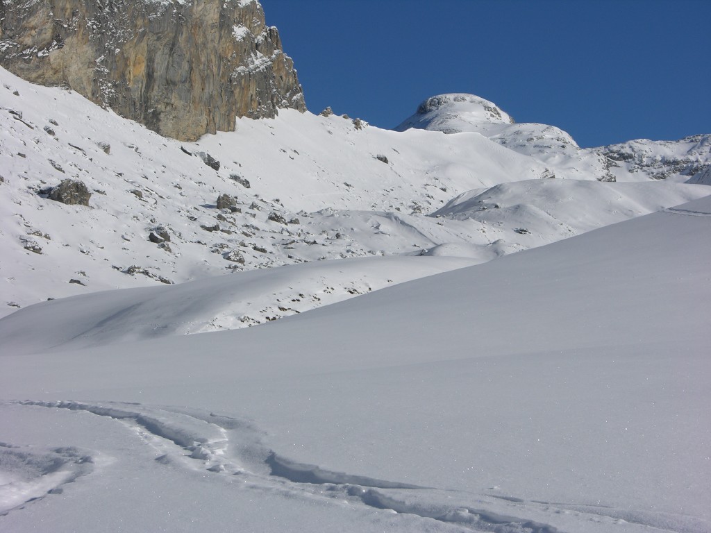 dscn4115.jpg