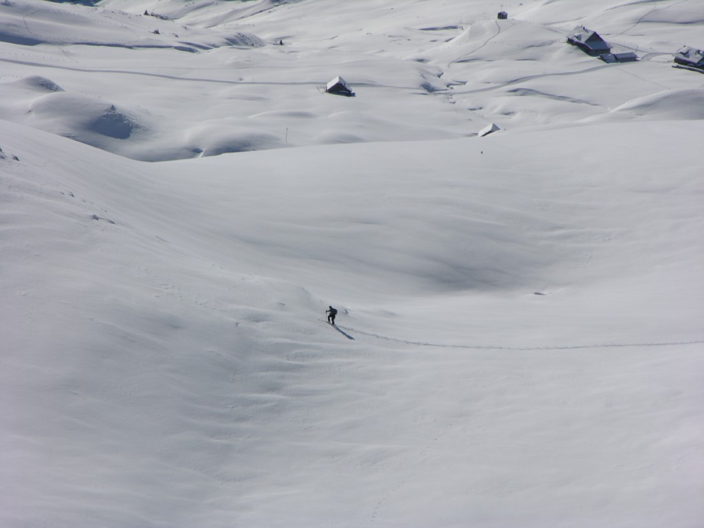 dscn4118.jpg