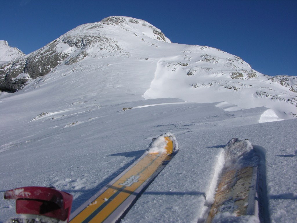 dscn4119.jpg