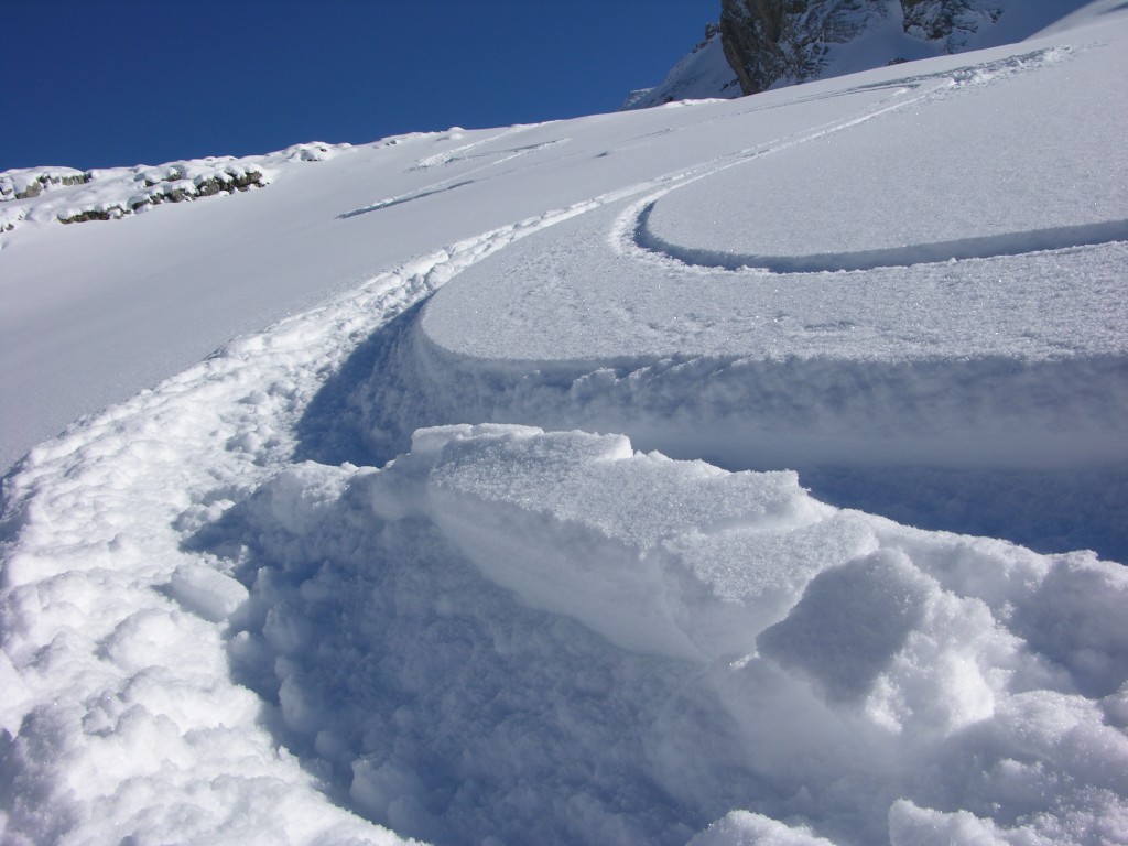 dscn4124.jpg