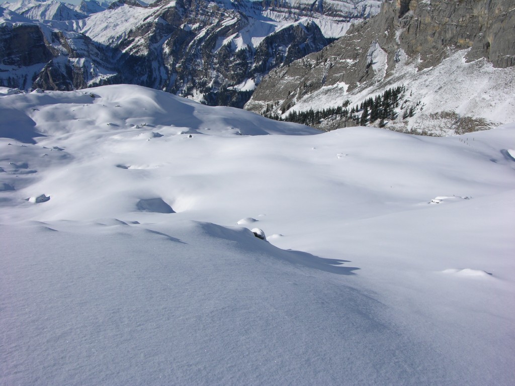 dscn4126.jpg