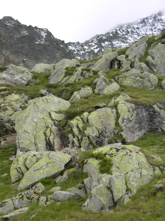 dscn1698.jpg