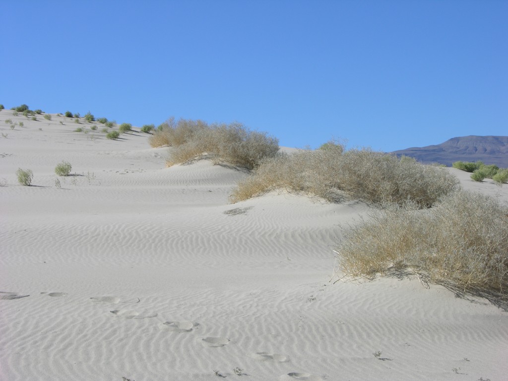 dscn2262.jpg