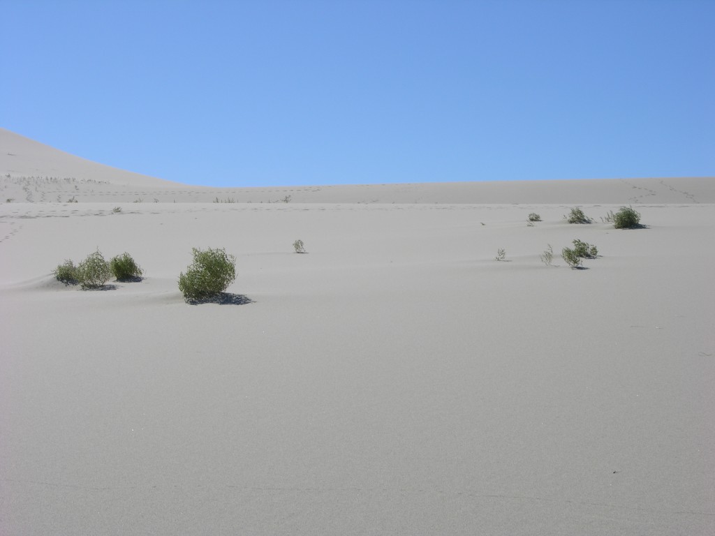 dscn2263.jpg