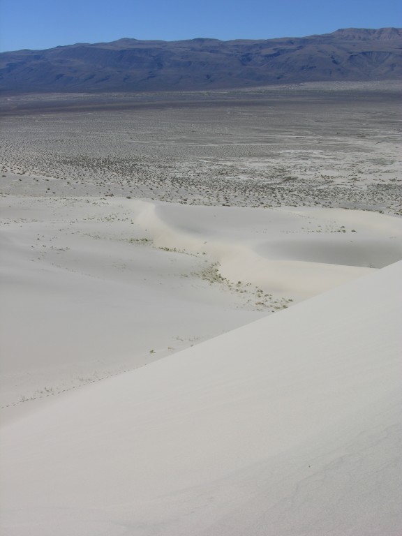dscn2264.jpg