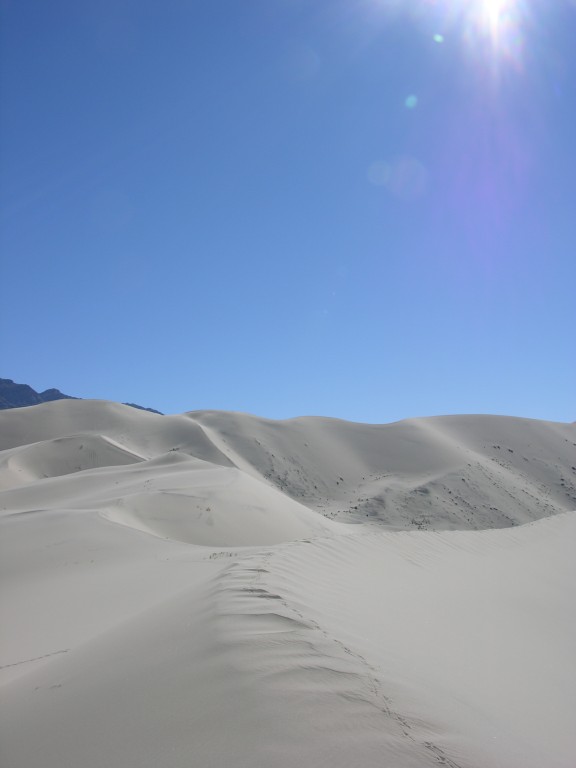 dscn2266.jpg