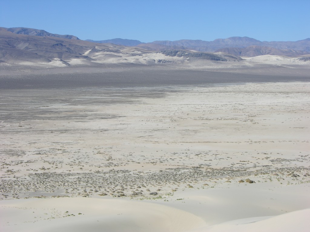 dscn2270.jpg