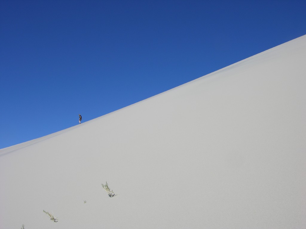 dscn2272.jpg