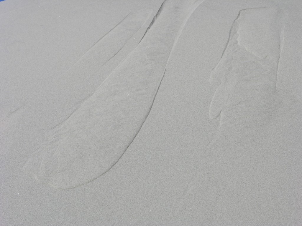 dscn2277.jpg