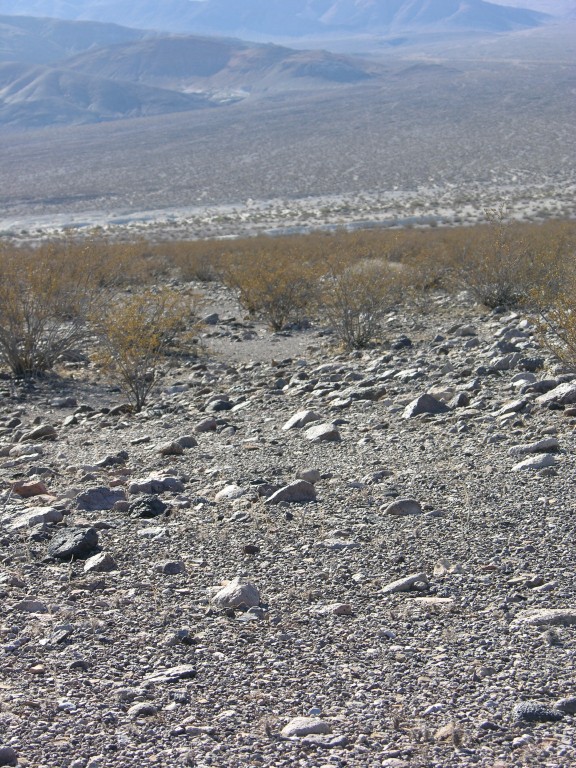 dscn2301.jpg
